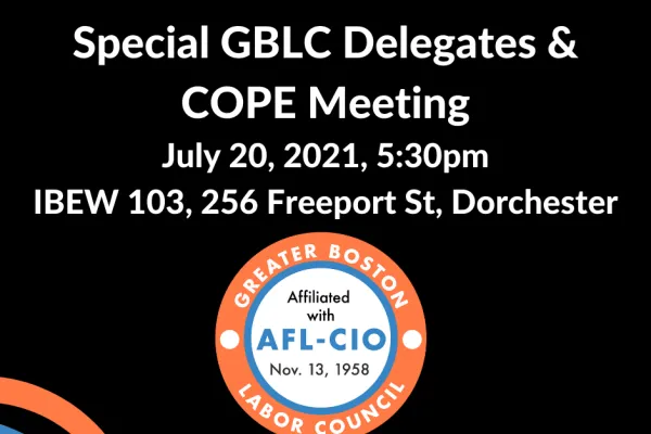 delegates_and_cope_meeting_july_2021.png